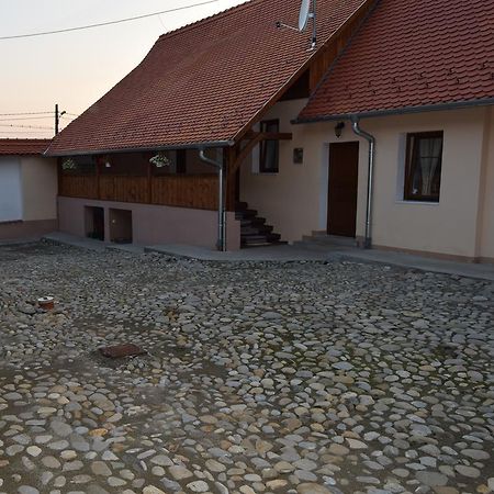Saschiz Casa Saseasca 빌라 외부 사진