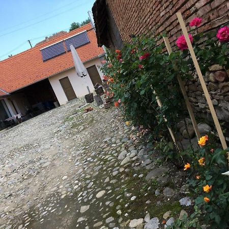 Saschiz Casa Saseasca 빌라 외부 사진
