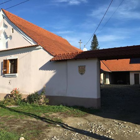 Saschiz Casa Saseasca 빌라 외부 사진