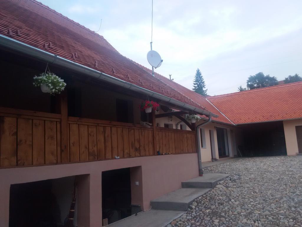 Saschiz Casa Saseasca 빌라 외부 사진