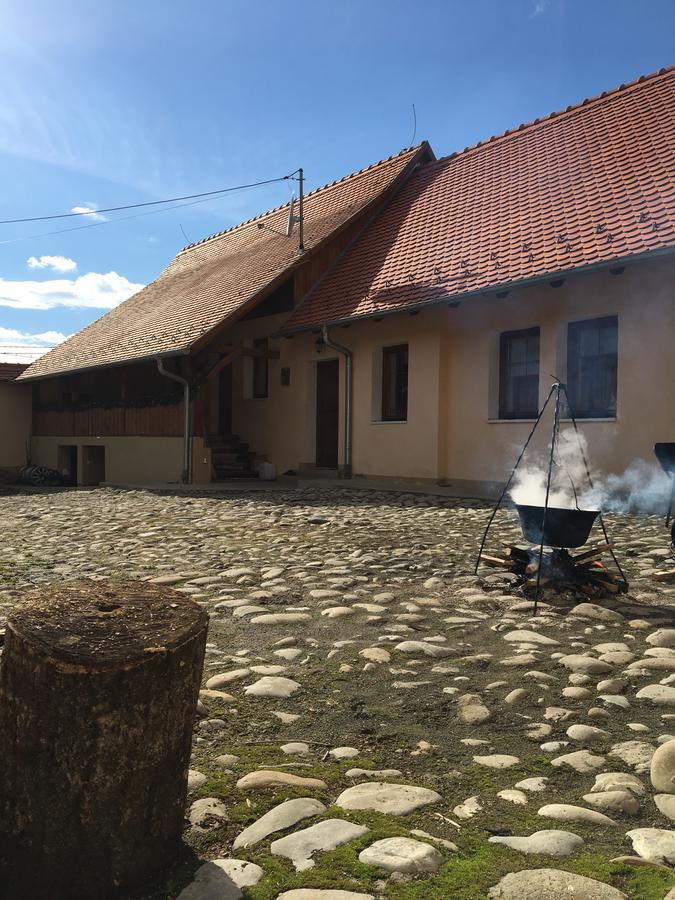 Saschiz Casa Saseasca 빌라 외부 사진