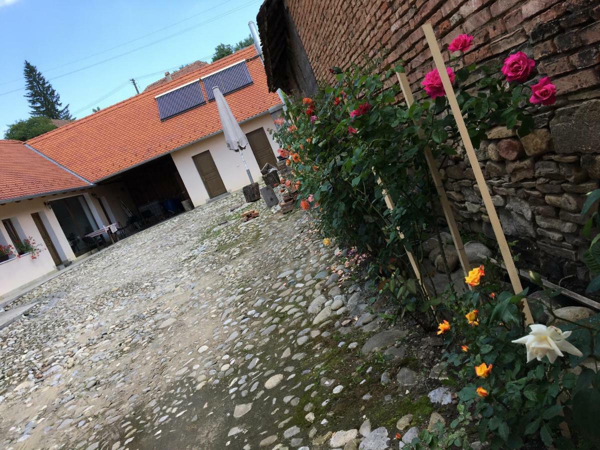 Saschiz Casa Saseasca 빌라 외부 사진