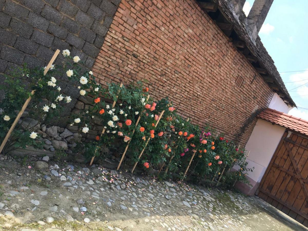 Saschiz Casa Saseasca 빌라 외부 사진
