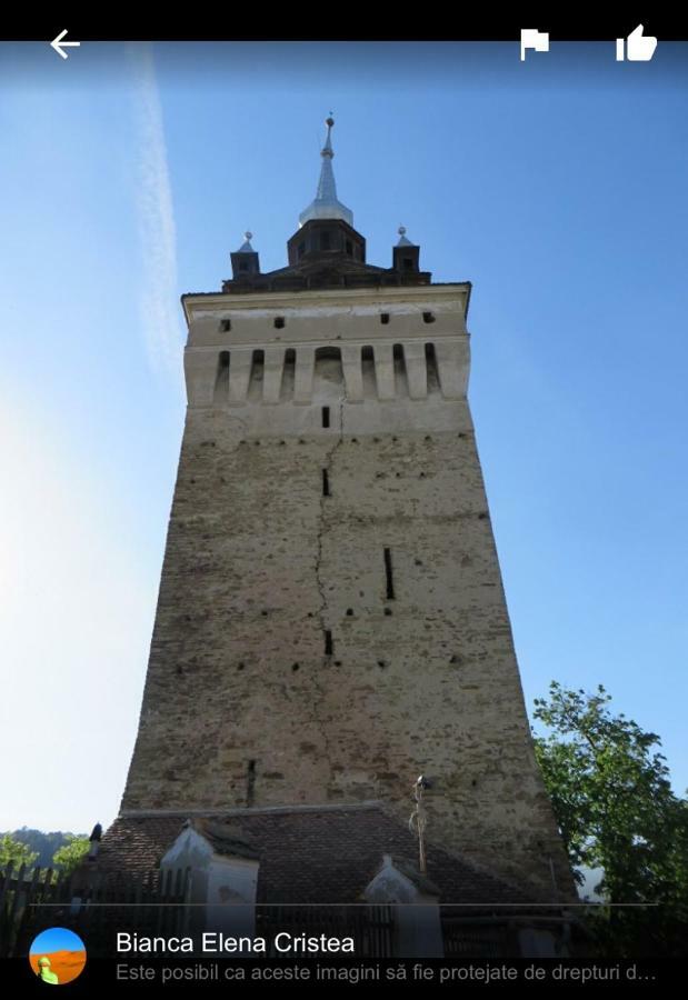 Saschiz Casa Saseasca 빌라 외부 사진